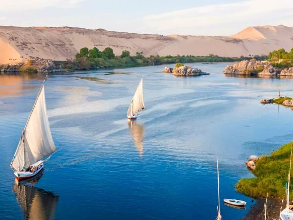 a-surprising-image-of-some-flocs-in-luxor