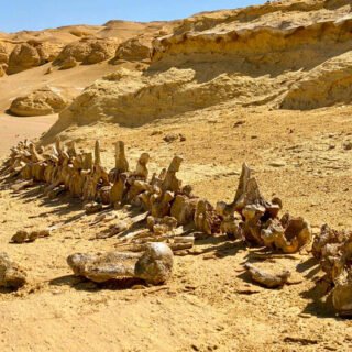 Excursión de un Día a El Fayoum Desde El Cairo en Coche