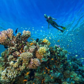 Excursión de snorkel a Ras Mohamed desde el puerto de Sharm
