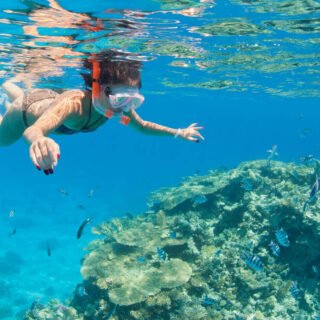 Excursiones de snorkel desde el puerto de Safaga